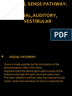 Special Senses Pathway: Visual, Auditory & Vestibular