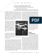 EnthrogenReviewDaturaArticle.pdf