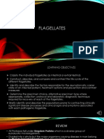 Flagellates (New Version) PDF