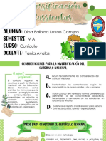 DIVERSIFICACIÓN CURRICULAR_DINA_LOVON_SEMESTRE_VA