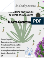 Medicina tradicional: Organizadores gráficos sobre sus beneficios y plantas medicinales