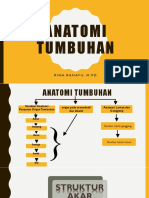 Struktur Dan Fungsi Organ Tumbuhan PDF