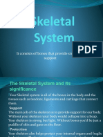 Anatomy - Skeletal System