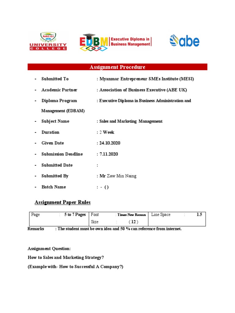 Sales and Marketing Strategy Assignment | PDF