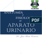 ANATOMIA Y FISIOLOGÍA DEL APARATO URINARIO