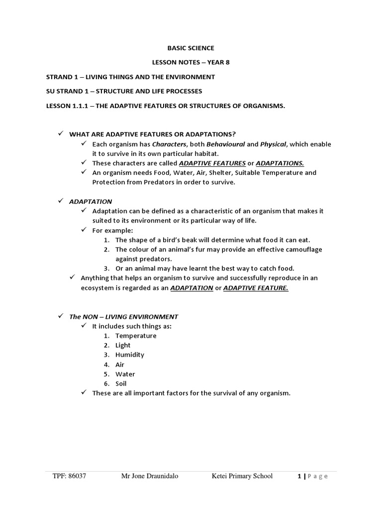 Basic Science Lesson Notes 8 PDF | Download Free PDF | Eclipse | Digestion