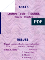 Anat 5: Lecture Topic: TISSUES