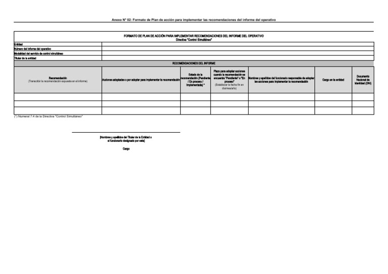 Plan de Acción para Recomendaciones del Informe | PDF | Business