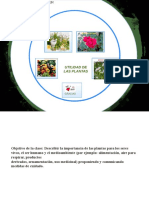 utilidades de las plantas 21-10.pptx