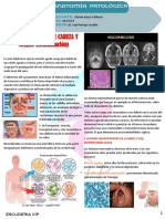 Patologia de Cabeza y Cuello