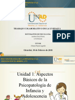 Trabajo Psicopatologia de Infancia y Adolescencia