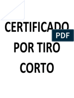 Etiqueta 10x10 TIRO CORTO.docx