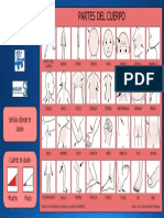 Partes del cuerpo.pdf