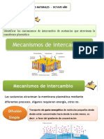 8° Membrana_2_transporte