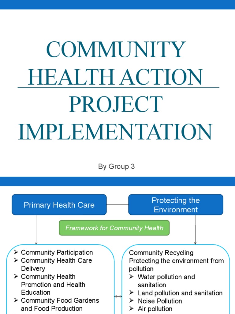 Community Health Action Project Plan | PDF