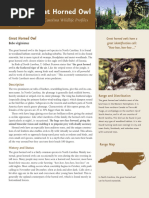 Great Horned Owl: North Carolina Wildlife Profiles