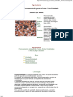 Processamento Artesanal de Frutas - Fruta Cristalizada (Abacaxi, Figo, Mamão) PDF