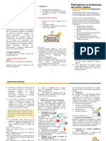 G2 Folleto Licitaciones Publicas