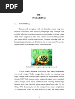 Download Laporan ToksikologiBaringtonia Terhadap Keong Emas by Radinal SN48197885 doc pdf