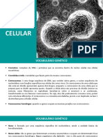 aula04_divisão celular.pdf