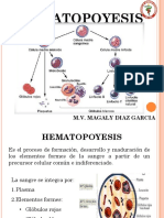 1) Hematopoyesis