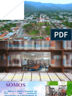 Portafolio Servicios Biblioteca Pital