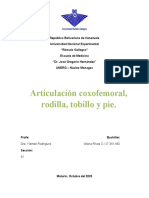 Mapas Mentales de Articulación Coxofemoral, Rodilla, Pie y Tobillo. ANATOMÍA