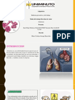Enfermedad Asbestosis PDF