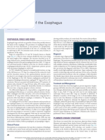 Benign Disease of The Esophagus PDF