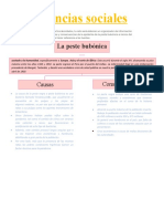 Ciencias Sociales: La Peste Bubónica