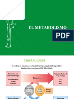 1F - 3T - Metabolismo Via Glicolítica