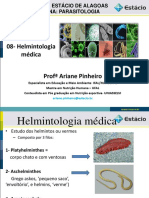 Helmitologia PDF Aula PDF