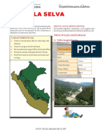 La Selva Teoria PDF