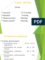 Fisiología Renal