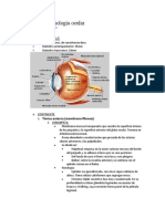 Anatomía y Fisiología Ocular