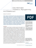 Epigenome in Early Mammalian Development: Inheritance, Reprogramming and Establishment