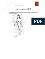 Trabajo Práctico #1: Lic. en Nutrición Asignatura: Anatomía Docentes: Dra. Mariela Bezic, Lic. Lisi Sanoguera