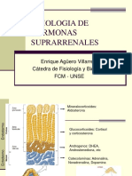 FISIOLOGIA DE HORMONAS SUPRARREANLES.pdf