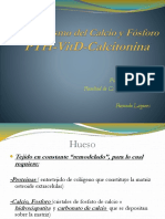 Metabolismo del Calcio y Fósforo.pdf