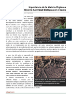 Importancia de La Materia Organica (MO) en La Actividad Biologica en El Suelo PDF