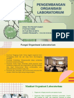 Pengembangan Organisasi LAB