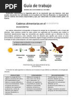 CIENCIASsemanas 3 y 4