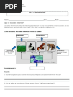 4° Guía N°4 Cadenas Alimenticias