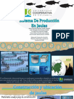 SIST. DE PROD. EN JAULAS.pdf