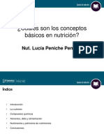 Conceptos Basicos de Nutricion PDF
