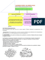 2.RELACIONES INTER INTRAESPECIFICOS.pdf