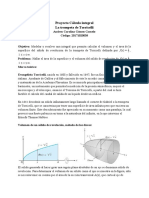 Proyecto Cálculo Integral