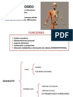 Anatomia Plans Dta