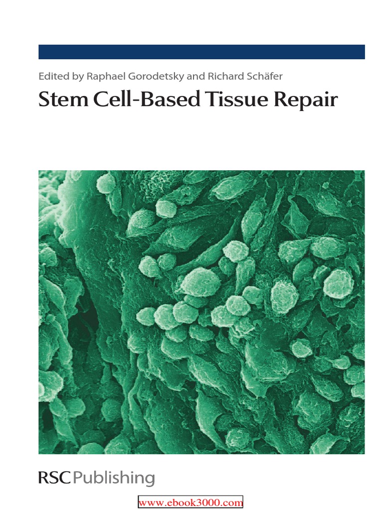 Stem Cell-Based Tissue Repair | PDF | Tissue Engineering | Stem Cell