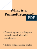 What Is A Punnett Square